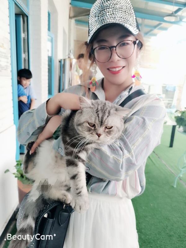 小黑猫的第一张照片--盘锦残疾人相亲网